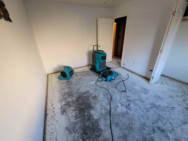 Best Water damage restoration services  in Grove City, OH