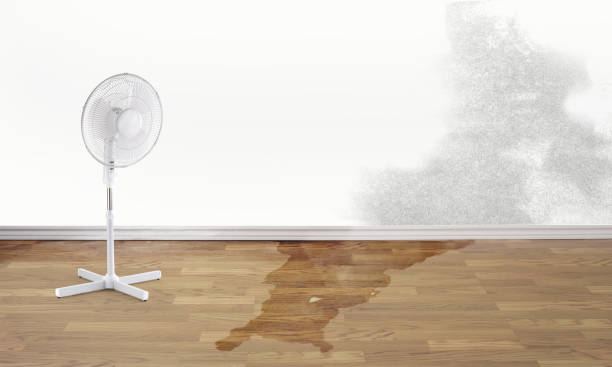 Best Flood restoration services  in Grove City, OH