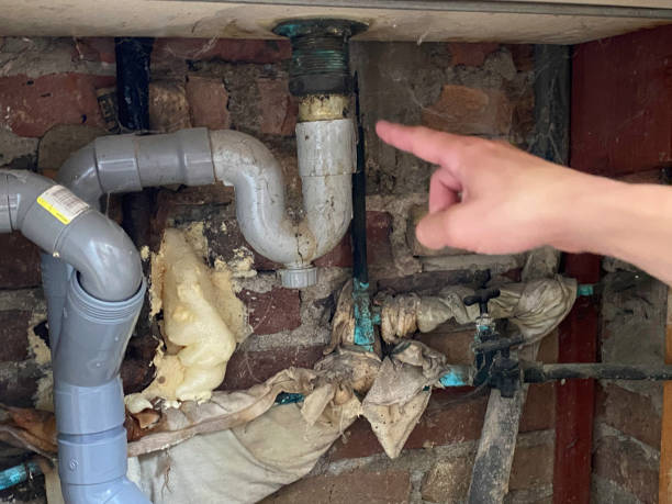 Best Water damage repair service  in Grove City, OH