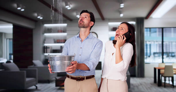Best Water damage repair service  in Grove City, OH